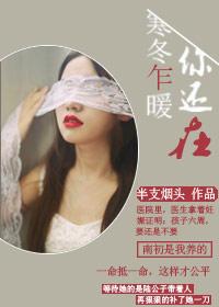 陆公子的绯闻女友作者半支烟头