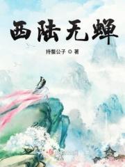 代号黑狼01谍战电视剧