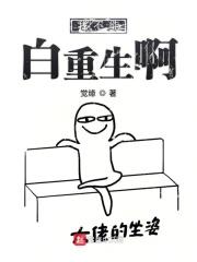 数据修仙txt