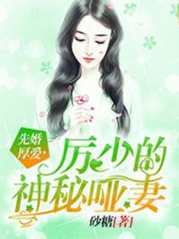 灵枢素问