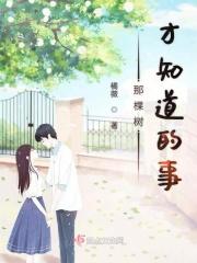 离婚后闪婚京圈大佬笔趣阁