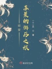 综穿苏晨的游历之旅