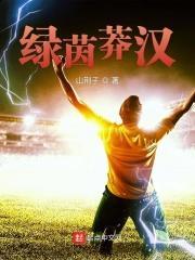 山村红颜柳十三赵小蝶_第65章 姐