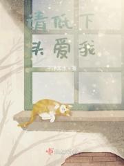 花颜策讲的什么内容