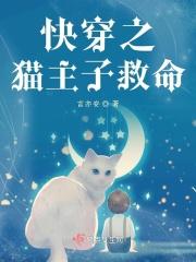 今天找到没有
