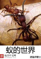 玄幻之斗破