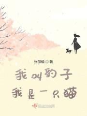 新白男子传奇 锡纸锦鳞