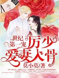 总裁的冰冷情人
