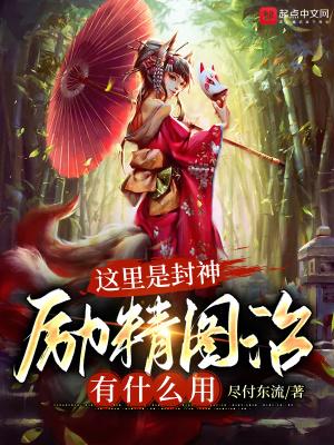 精灵宝可梦丰源冠军之路