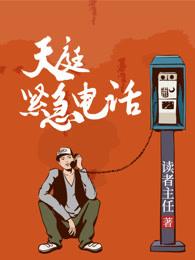 红楼梦中贾环的结局是什么