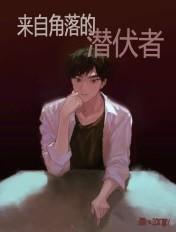 神奇宝贝之冒险之旅