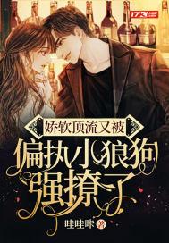 朕心悦你 木之琰