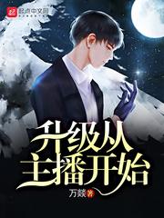 总裁的王牌高手