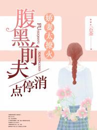 红楼之挽天倾