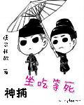 替妹代嫁王爷侧妃总想逃