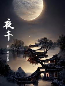 大宋清明录笔趣阁