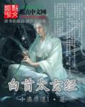 绝色老板娘贴身兵王全文阅读