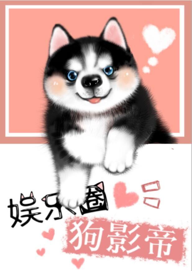 拳王运动员
