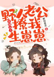 丈夫投胎变成儿子