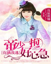 追凶刑警