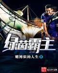 诸天武道从天下第一