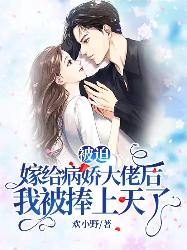 hp为你而来 月江之