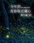 仙人消失之后红将军是谁