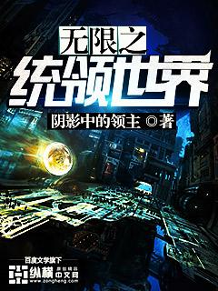 精灵宝可梦之恶棍系统