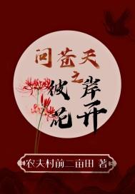 重入官场免费阅读