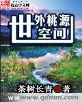 从小木筏开始进化