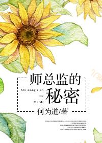 全员开始抽象TXT