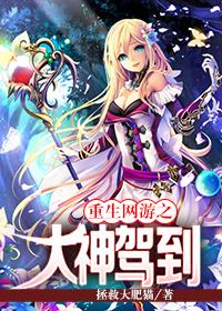 师姐跪求我回去免费阅读