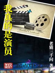 我的世界之辐射风云