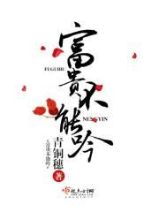 崩坏：我的马甲不对劲