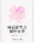 伍文是什么