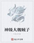 魔法与剑初章