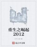 重生涅槃2007王龙