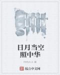 全民领主我有一个典故系统 大汉护卫