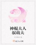 开局官府送老婆我娘子竟是女帝洛清欢