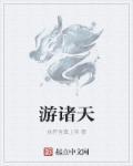 铁血杨家将电视剧在线影院