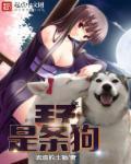 冷情皇子俏皇妃 蓝雨石
