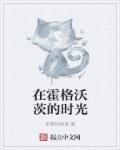 穿成三个崽崽的恶毒亲妈免费阅读
