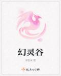 幻世宠妻天才大佬的穿越之旅