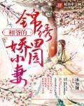 镜像多元宇宙起点
