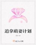 巫女桔梗的现代除魔生活在线阅读