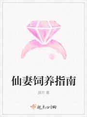 莲花楼吉祥纹讲什么