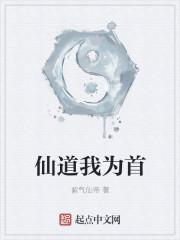 三嫁为后苏月全文