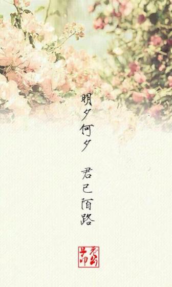 叶辰萧初然最新章节