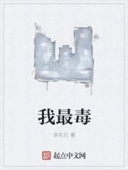 大明瀛帝日记 河边鹅卵石