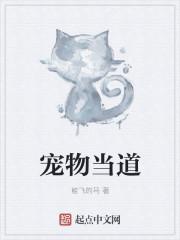 禁地直播开局扮演一拳超人 江湖卖报人
